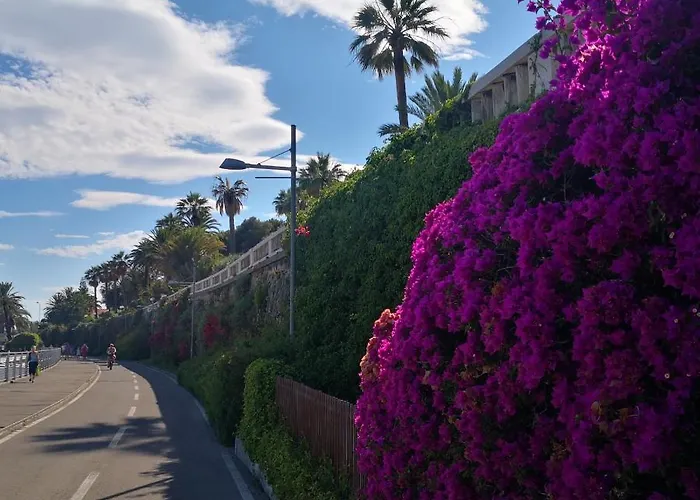 Apartment Class New *